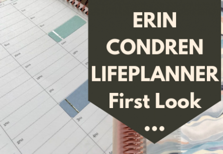 Erin Condren LifePlanner