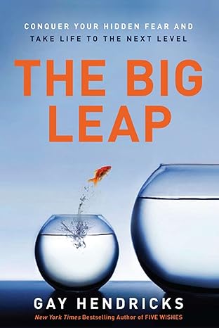 Book cover for The Big Leap